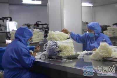 郟縣傾力打造中部地區(qū)知名醫(yī)用耗材產(chǎn)銷地，建設(shè)50億級(jí)產(chǎn)業(yè)集群